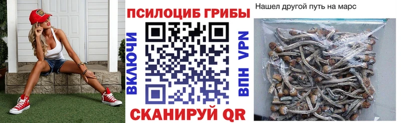 гидра ТОР  Мончегорск  Псилоцибиновые грибы MAGIC MUSHROOMS 